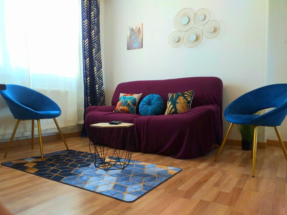 Le Tigre - Appartement Centre-Ville Au Calme, Parking Prive Bourges Dış mekan fotoğraf